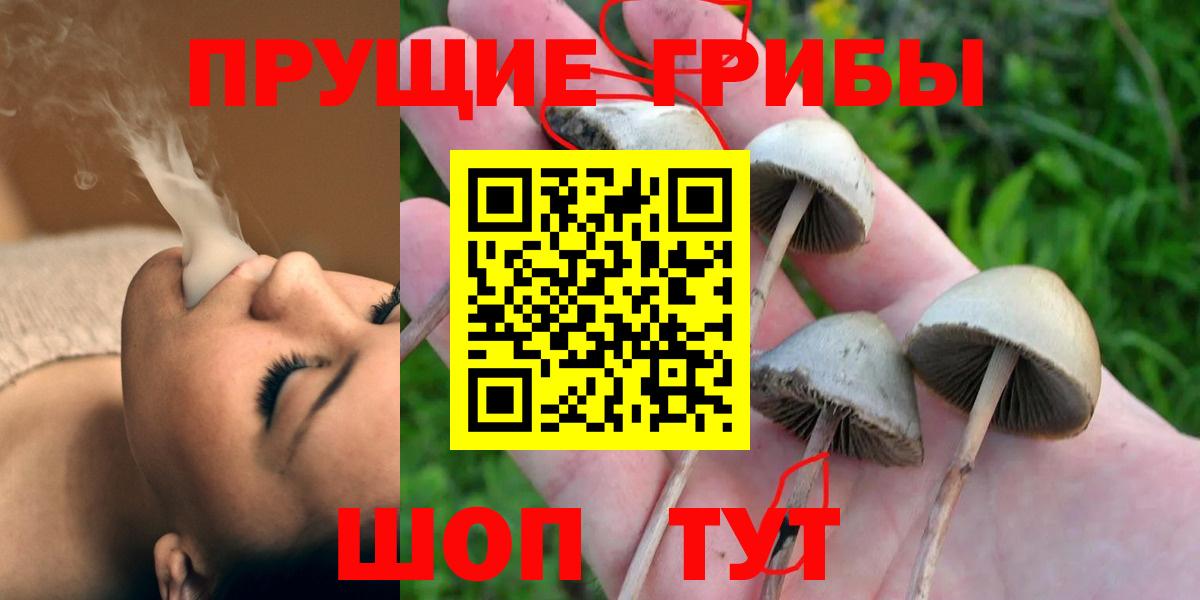 Калининград  Галлюциногенные грибы GOLDEN TEACHER  Вход с VPN 